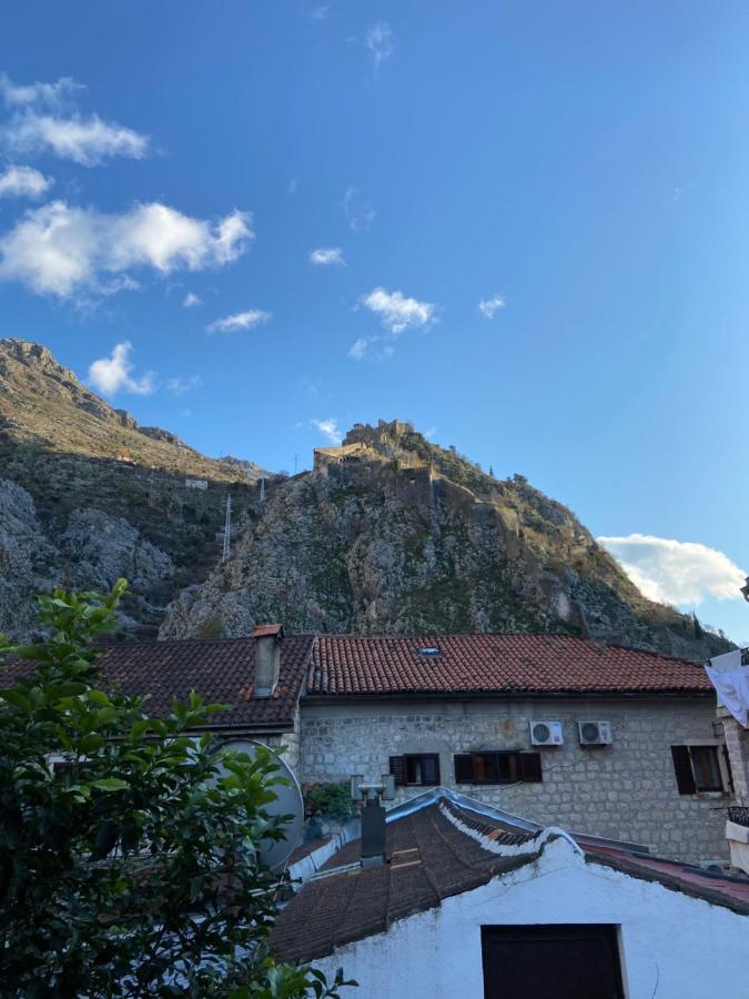Viktor Rooms Kotor Eksteriør billede